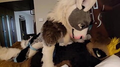 Furry sex murrsuit compilation moan part 4 Thumb
