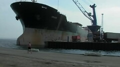 Any Hole Will Do (Swedish, 2008) Thumb