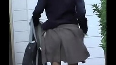 japanese sharking 1 Thumb